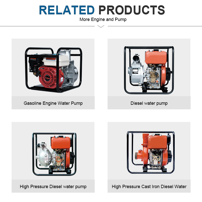 Bärbar jordbruksbensinmotor Renvattenpump WP30